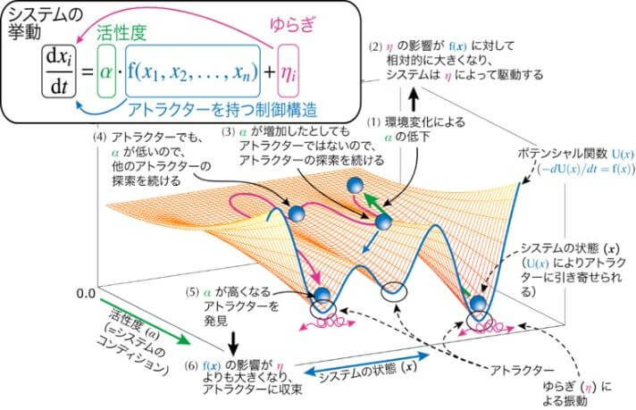 ゆらぎ方程式によるアトラクタ探索の動作原理
